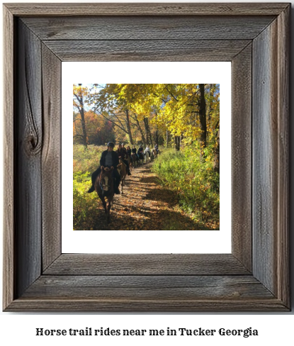 horse trail rides near me in Tucker, Georgia